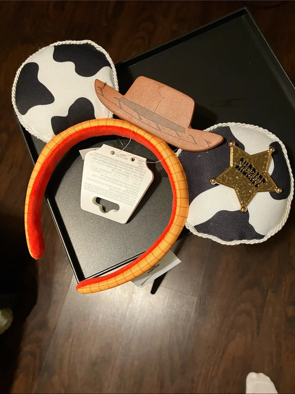 Disney themed cowboy